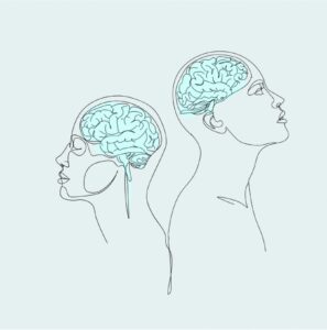 Cervello